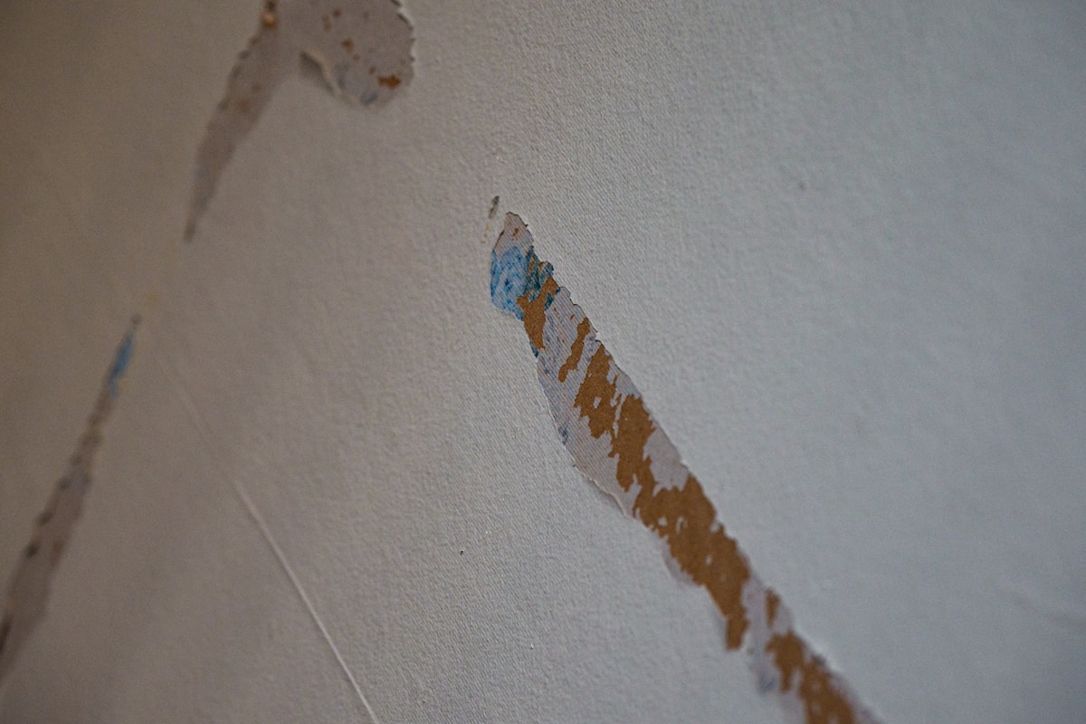 Water Extraction service in Wylie, TX